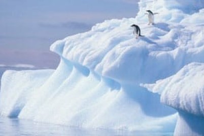 "الأمم المتحدة": رصد موجة حر قياسية فى القارة القطبية الجنوبية عند 18.3 درجة