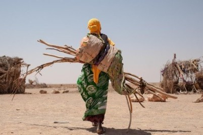 أكثر من 10 ملايين شخص معرضون لخطر الجوع في شمال أفريقيا